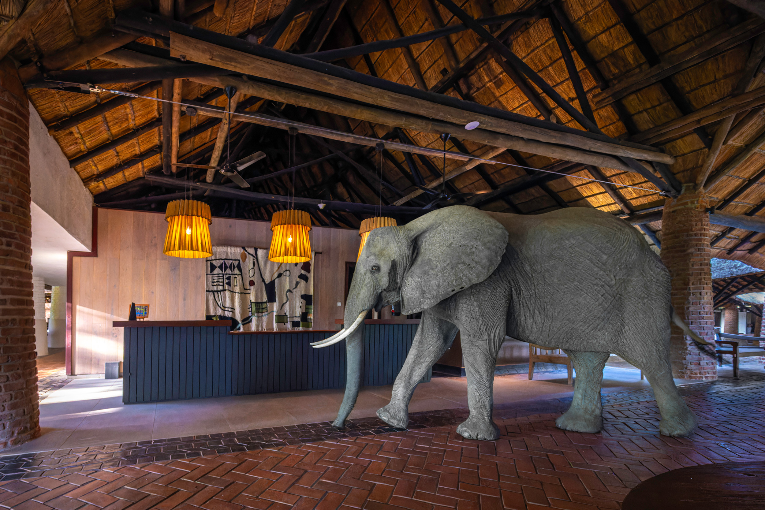 Authentic South Luangwa Safari